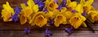 Bulmaca Daffodils and hyacinth