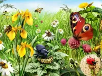 Puzzle Insects and flowers