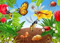 Jigsaw Puzzle Insects and flowers
