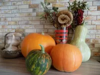 Quebra-cabeça Still Life With Pumpkins
