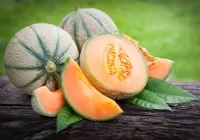Слагалица Still life with melon