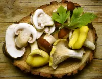 Zagadka Still life with mushrooms
