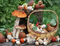 Пазл Натюрморт с грибами 