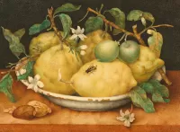 Quebra-cabeça Still life with lemons