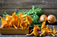 Puzzle Still life with chanterelle