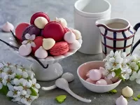 Rompicapo Still-life with macarons