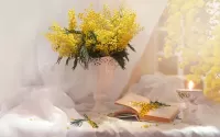 Jigsaw Puzzle Still life with Mimosa