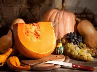 Rompecabezas Still-life with pumpkins