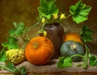Слагалица Still life with pumpkins