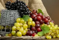 Пазл Натюрморт с виноградом 