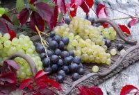 パズル Still life with grapes
