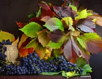 Пазл Натюрморт с виноградом 