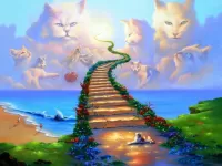 Rompecabezas Heavenly cats