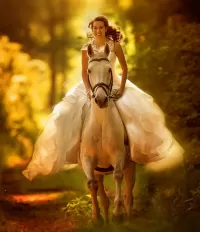 Jigsaw Puzzle The bride and the horse