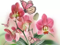Jigsaw Puzzle Delicate orchids