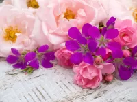 Jigsaw Puzzle Tenderness of flowers