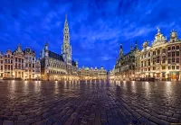 Jigsaw Puzzle Brussels Night