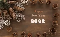 Puzzle New Year