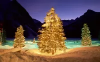 Quebra-cabeça Christmas trees