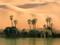 パズル An oasis in the desert