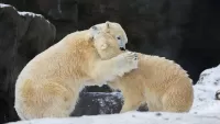 Quebra-cabeça Hugs