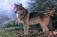 Пазл Одинокий волк