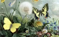 Bulmaca Dandelion and butterfly