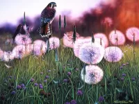 Jigsaw Puzzle Dandelions and bird