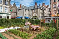 Jigsaw Puzzle Vegetable garden in the city