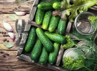 Jigsaw Puzzle Pickles