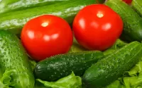 Jigsaw Puzzle Cucumbers and tomatoes