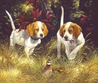 Rompicapo Hunting dog