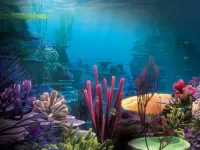 Slagalica Okeanskie koralli