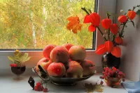 Jigsaw Puzzle Window to autumn
