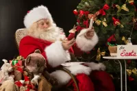 Quebra-cabeça Reindeer for Santa