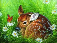 Puzzle Fawn and the butterfly