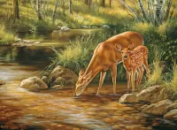 Quebra-cabeça Deer by the stream