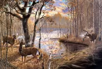 Jigsaw Puzzle Deer in the forest
