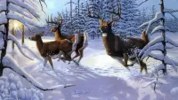 Puzzle Deer in winter forest