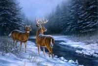 Bulmaca Deer in winter