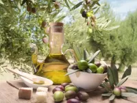 パズル Olive oil