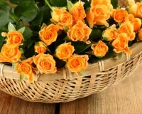 Пазл Оранжевые розы