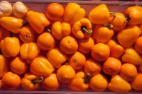 Zagadka Orange still life