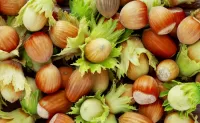 Slagalica Nuts