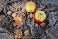 Puzzle Nuts and apples