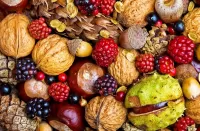 Jigsaw Puzzle Nuts and berries