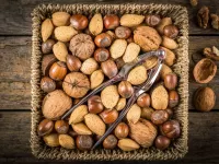 Puzzle Nuts in the basket
