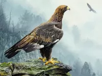 Rätsel Eagle