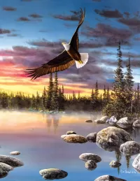 Zagadka Eagle over the lake
