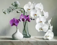 Puzzle Orchids in vases